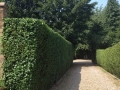 Chopwell Tree and Garden Clearance Services