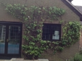 Chopwell Tree and Garden Clearance Services