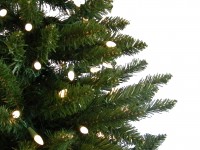 Christmas tree with lights
