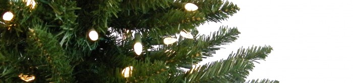 Christmas tree with lights