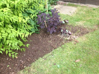After Weeding