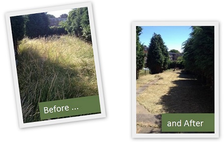 Garden clearance Before and after
