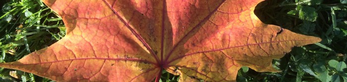 autumn