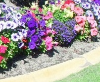 New house and garden
