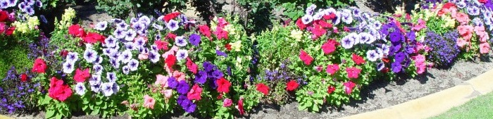 New house and garden