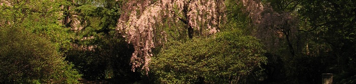bush header